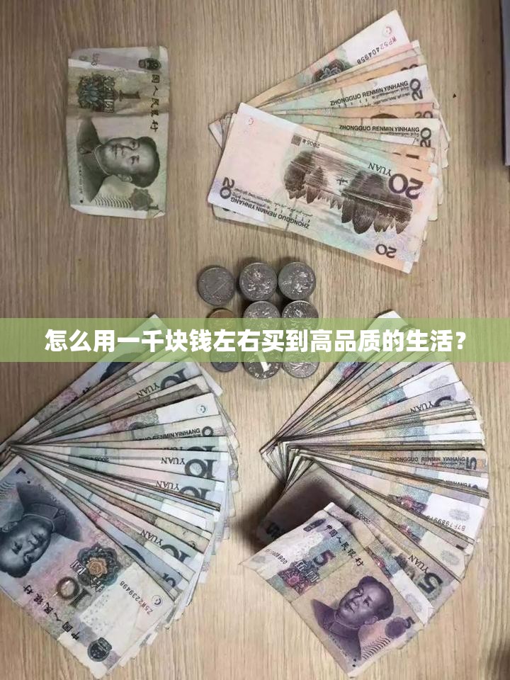 怎么用一千块钱左右买到高品质的生活？