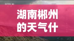 儿童长高奶粉排行榜10强（儿童长高奶粉哪个牌子好）