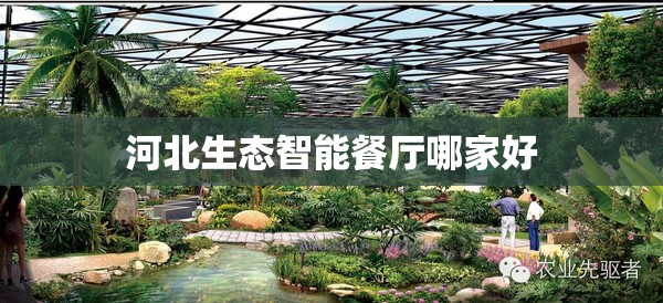 河北生态智能餐厅哪家好