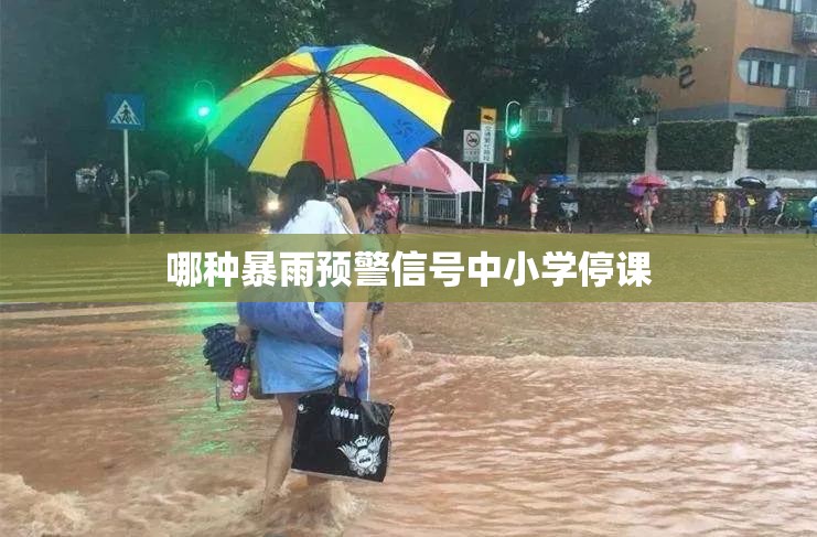 哪种暴雨预警信号中小学停课