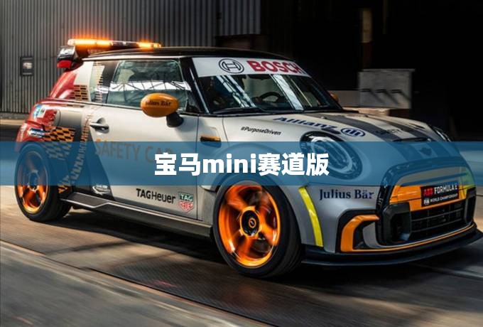 宝马mini赛道版