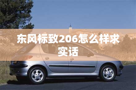 东风标致206怎么样求实话