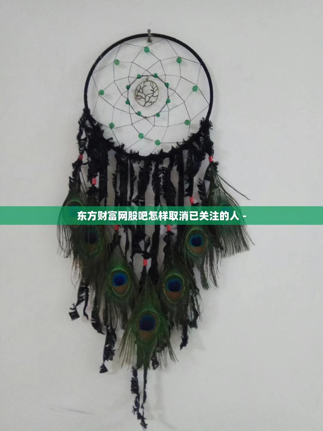 东方财富网股吧怎样取消已关注的人 -