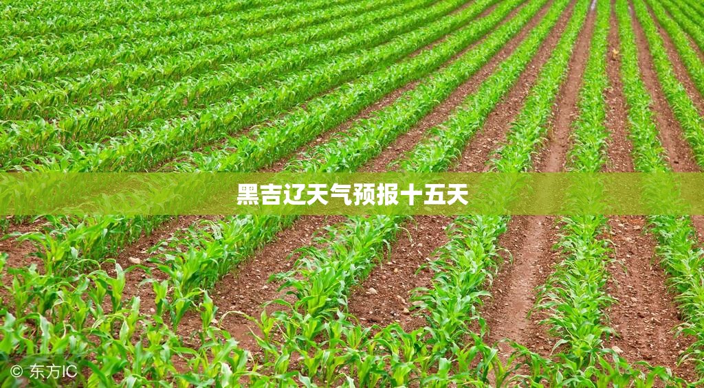 不同场合的着装礼仪