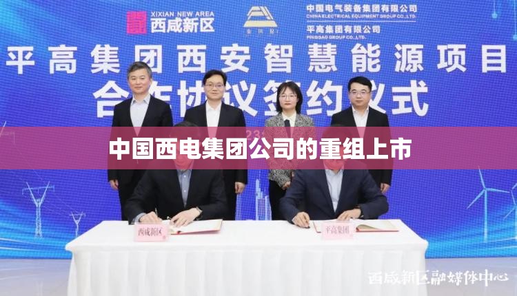 中国西电集团公司的重组上市
