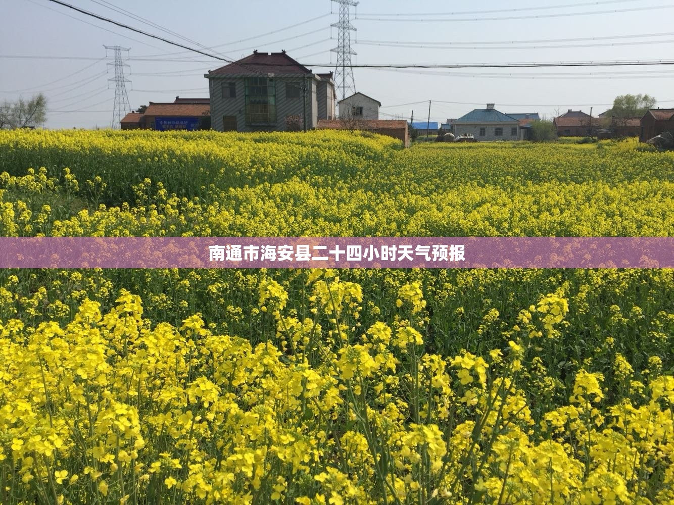 在公司占股份好还是股权好