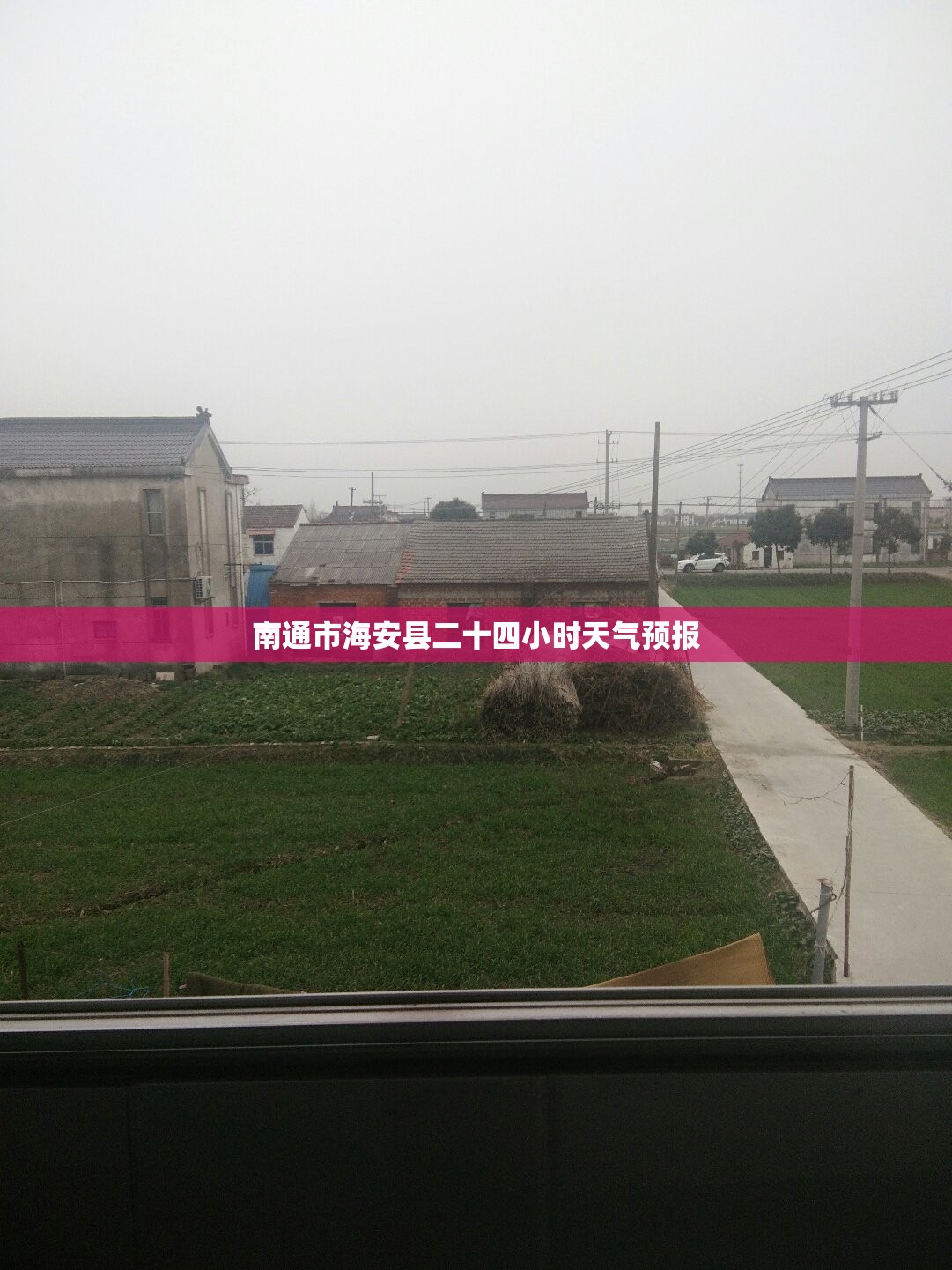 南通市海安县二十四小时天气预报