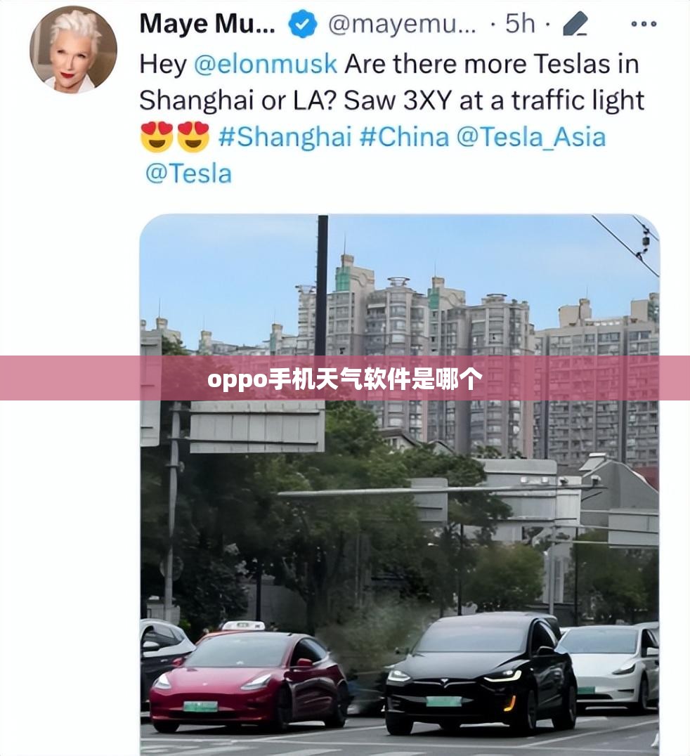 中国汽车行业！！！！