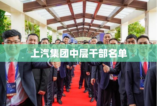 中国汽车行业！！！！