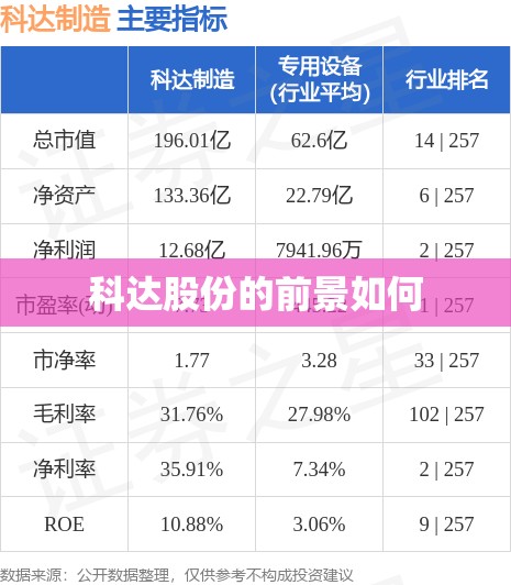 科达股份的前景如何