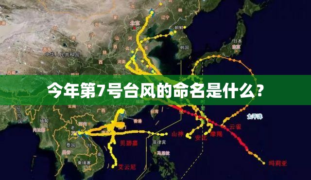 今年第7号台风的命名是什么？