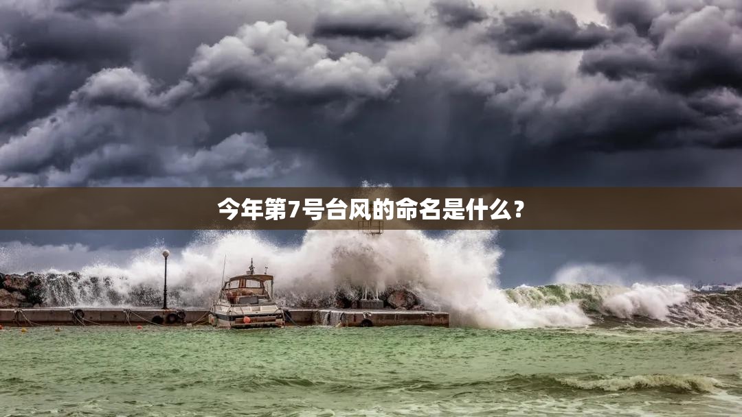 今年第7号台风的命名是什么？