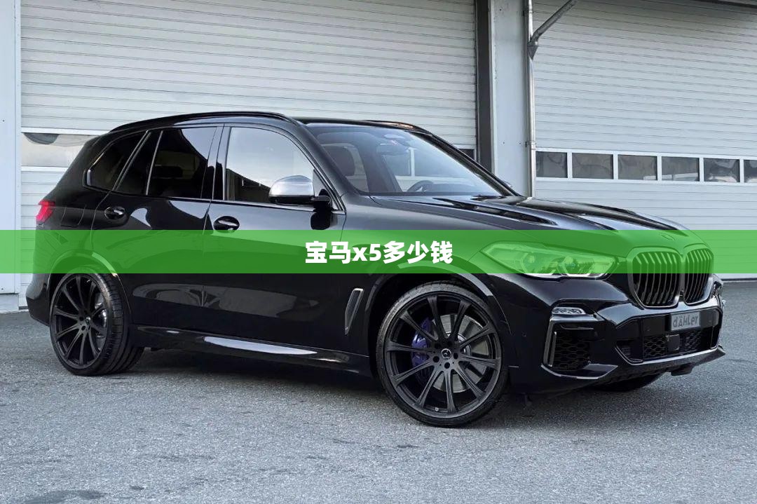宝马x5多少钱