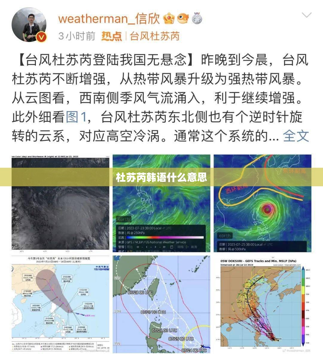 杜苏芮韩语什么意思