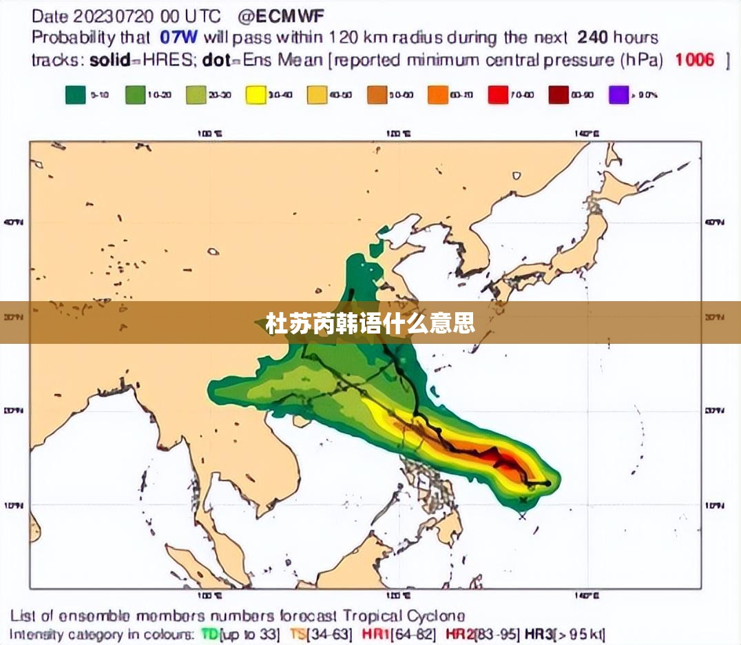 杜苏芮韩语什么意思
