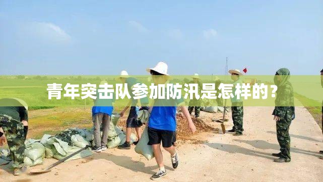青年突击队参加防汛是怎样的？