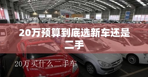 20万预算到底选新车还是二手