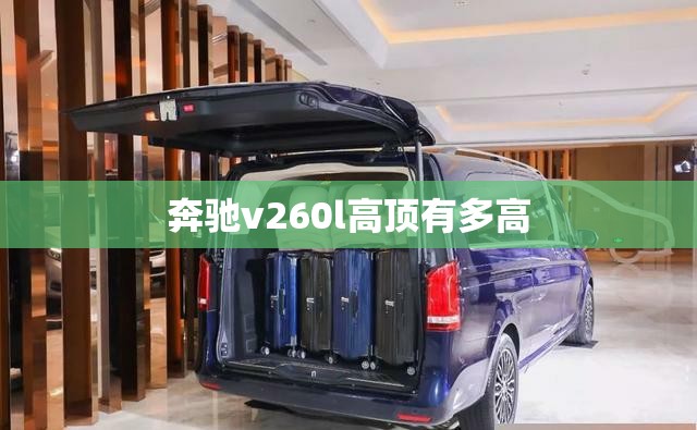 奔驰v260l高顶有多高