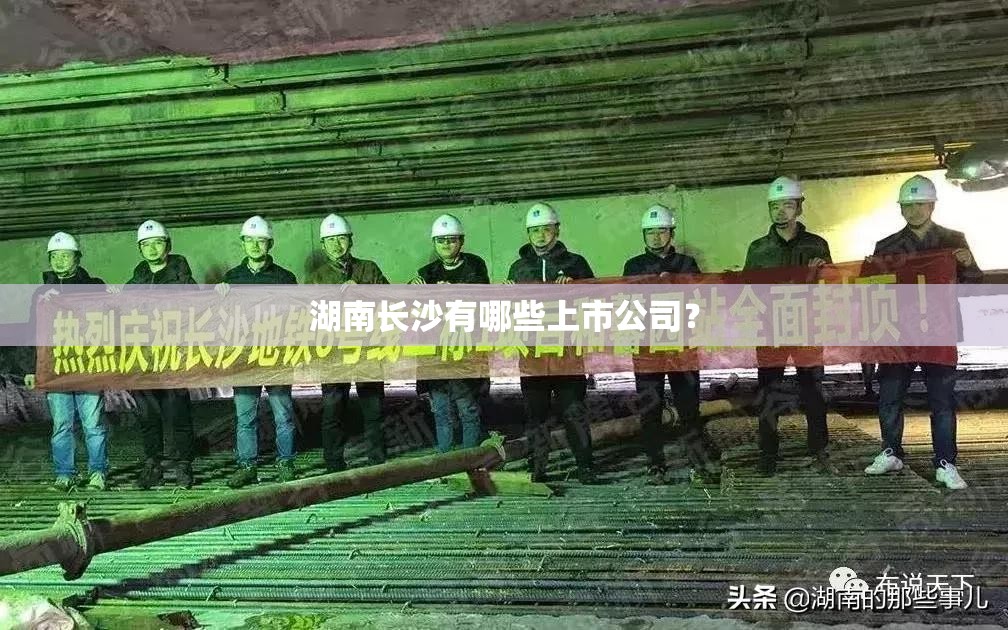 湖南长沙有哪些上市公司？