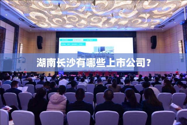 湖南长沙有哪些上市公司？