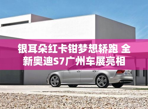 银耳朵红卡钳梦想轿跑 全新奥迪S7广州车展亮相