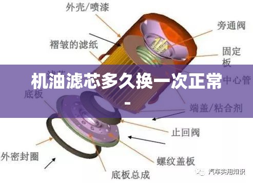 机油滤芯多久换一次正常-