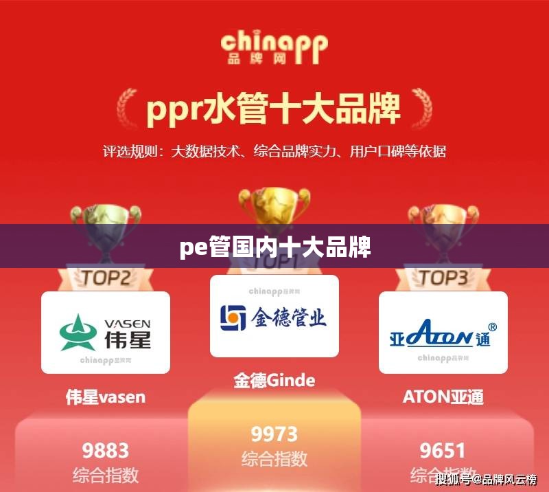 pe管国内十大品牌