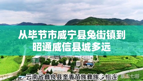 从毕节市威宁县兔街镇到昭通威信县城多远