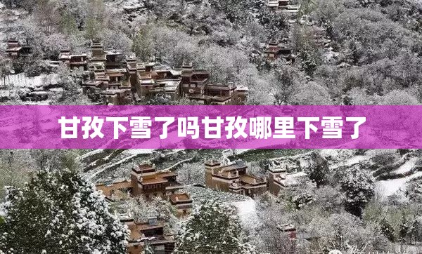 谁能详细介绍大众及其下属品牌的车型