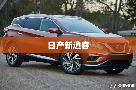 惠氏奶粉真假