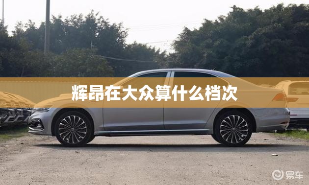 辉昂在大众算什么档次