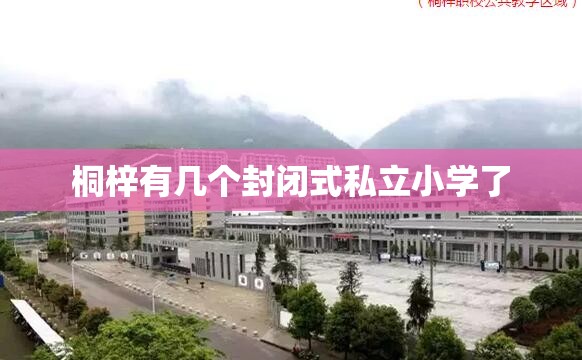 桐梓有几个封闭式私立小学了
