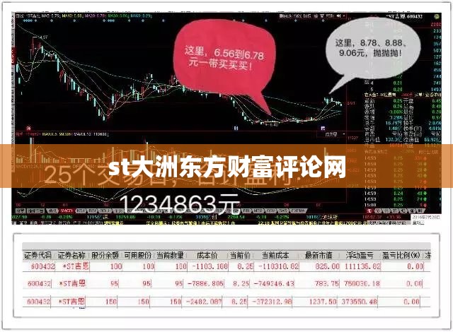 st大洲东方财富评论网