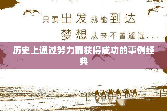 历史上通过努力而获得成功的事例经典