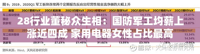 28行业董秘众生相：国防军工均薪上涨近四成 家用电器女性占比最高