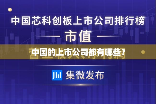 中国的上市公司都有哪些？