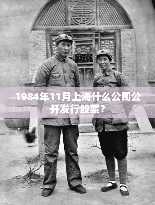 1984年11月上海什么公司公开发行股票？