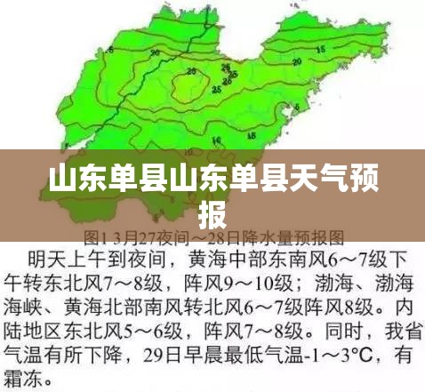 依维柯驾照要求