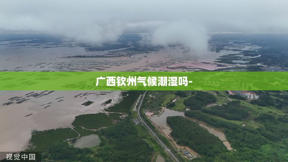 山东单县山东单县天气预报