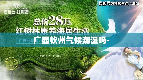 广西钦州气候潮湿吗-