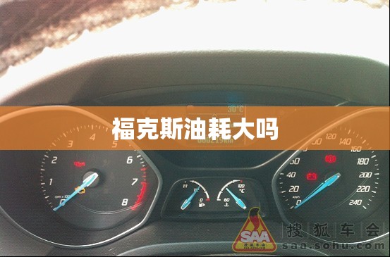福克斯油耗大吗