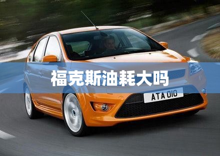 福克斯油耗大吗