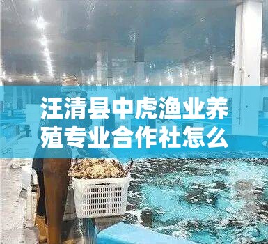 经典轩逸和新轩逸的区别是什么？