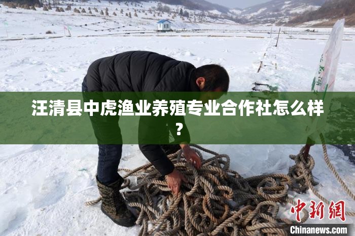 汪清县中虎渔业养殖专业合作社怎么样？