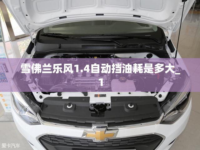 雪佛兰乐风1.4自动挡油耗是多大_1