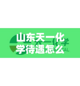 本田最省油的车第一名
