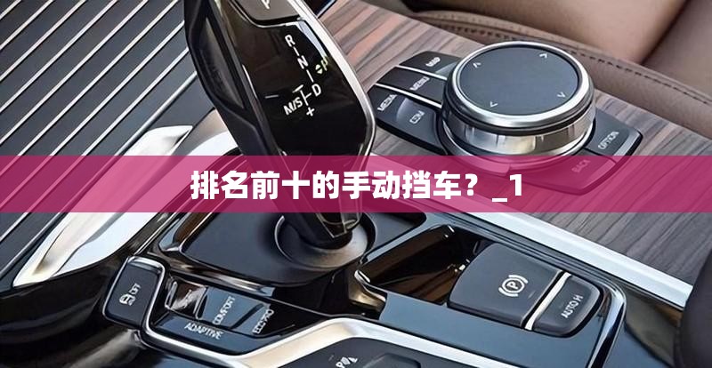 排名前十的手动挡车？_1