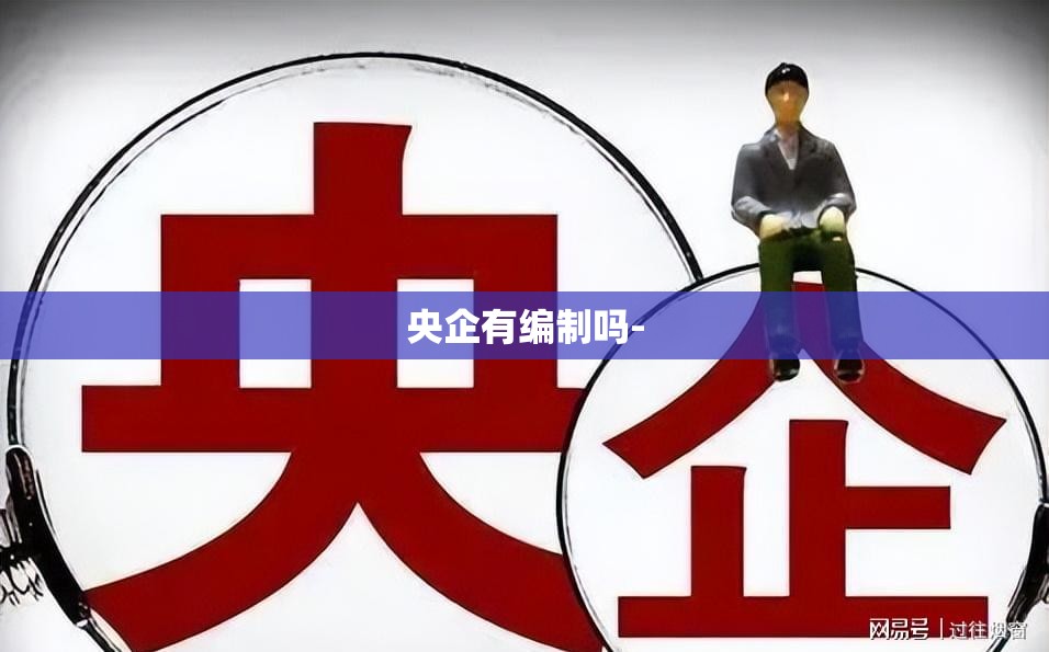 央企有编制吗-
