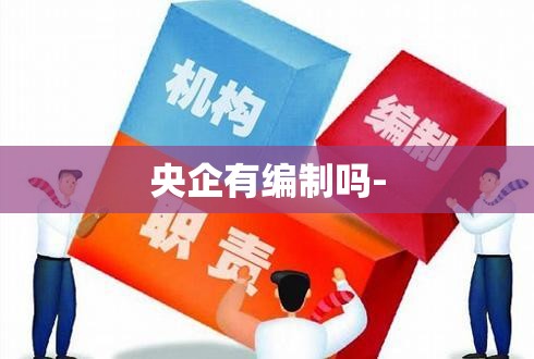 央企有编制吗-