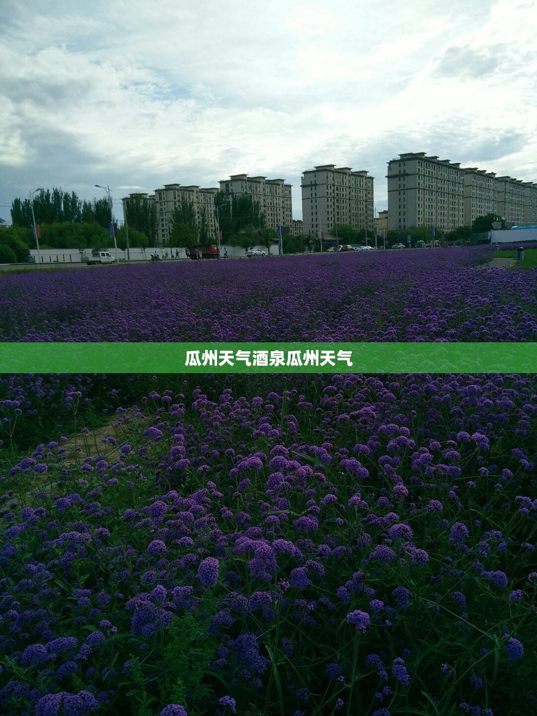 药物制剂工艺及设备选型的书目录